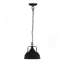 Lampe suspendue D10,4 x 11,4 po, métal