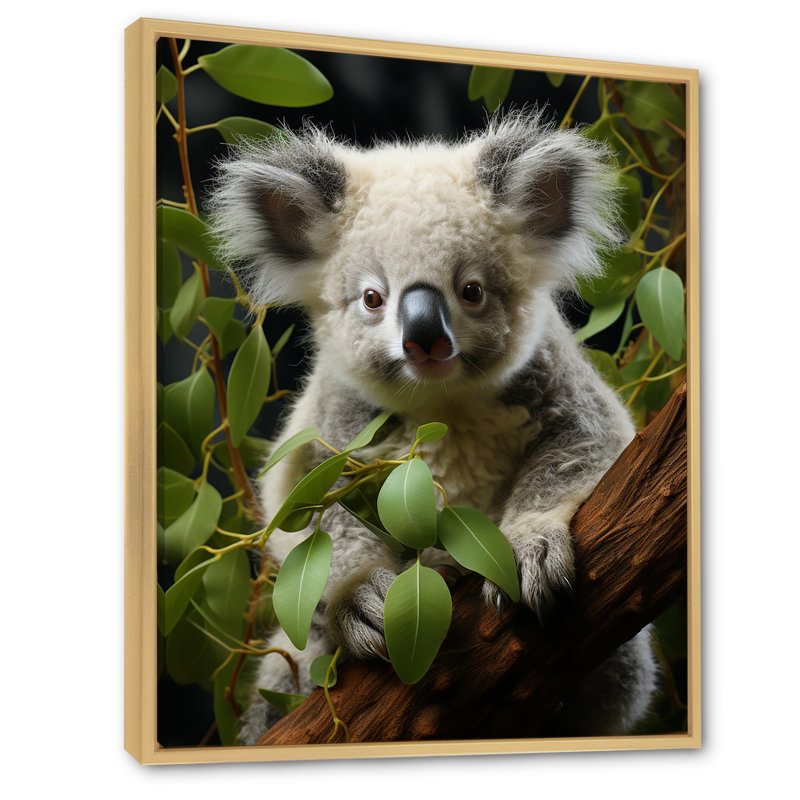 «Realistic Koala Eucalyptus Observer 2», art mural animal koala, Cadre flottant brun, H 32 po x l 16 po