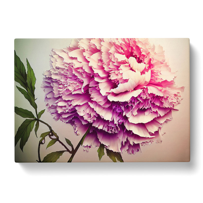 Joyous Peony Flower - Wrapped Canvas, 35cm H x 50cm W x 3cm D