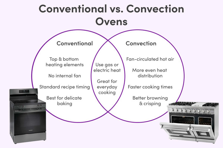 conventional vs convection oven venn diagram displaying differences in heating elements, fans, recipe timing, and best use cases with sleek conventional ovens on either side