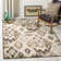 Wanda Ikat Hand Woven 160cm X 229cm Area Rug
