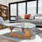 Carmila Glass Top Coffee Table-1523157185
