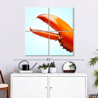 Griffe de homard rouge Brampt