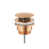 Shiny Copper
