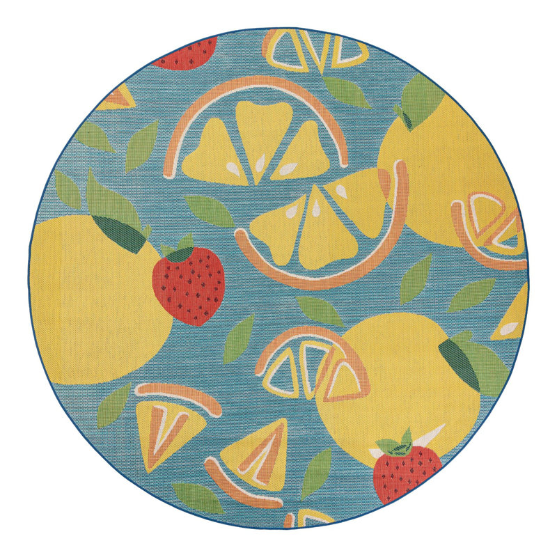 Indoor / Outdoor Rug, Round 10'
