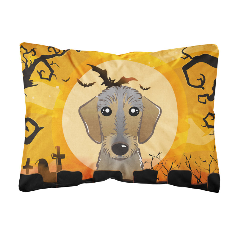  Coussin intérieur / extérieur Halloween