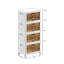 4 -Door Storage Cabinet
