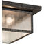 3 - Light Flush Mount