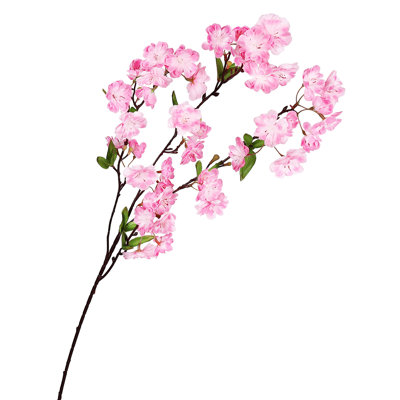 Fleur de cerisier en fleurs