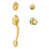 Lifetime Brass selected