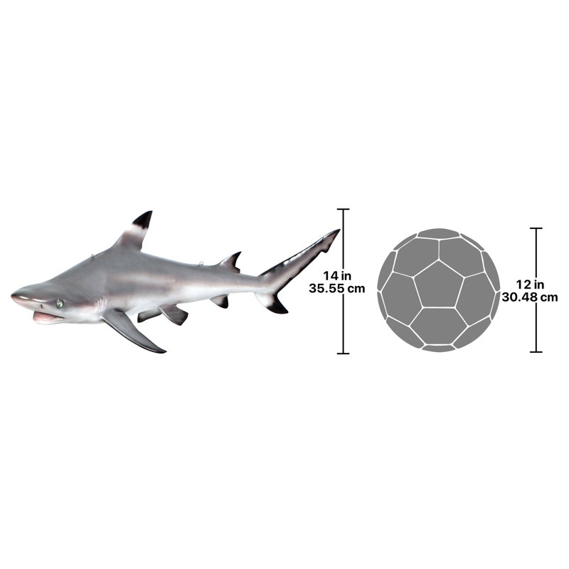 Sculpture de trophée à fixation au plafond blacktip shark