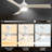 Jare 52'' Ceiling Fan with LED Lights