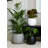Finstad Handmade Pot Planter-1568507924-1568507926