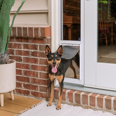 PetSafe® Sliding Glass Pet Door 2-Piece & Reviews | Wayfair