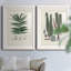 Collected Ferns IX " Collected Ferns IX " 2 - Pieces Painting Print-1157641720-1157641721