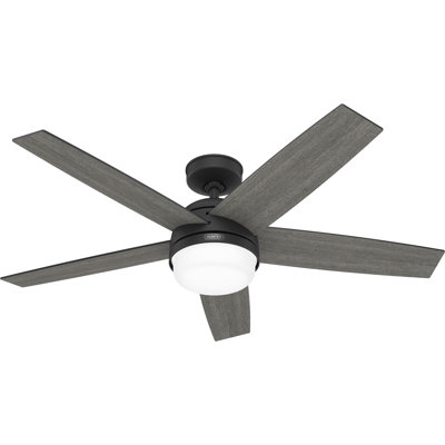 Hunter Fan Hunter 52 inch Damp Rated Ceiling Fan with LED Light Kit and Handheld Remote