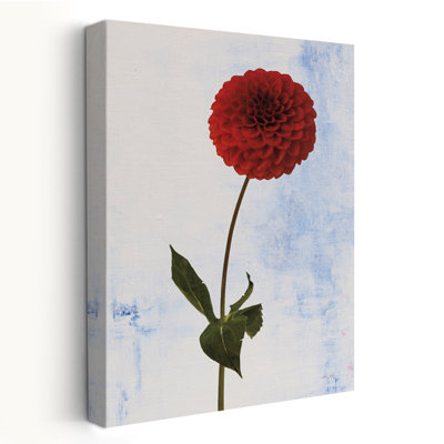 Minimalist Dahlia I