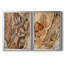 «Tree Texture Triptych I», toile encadrée de qualité supérieure - prête à être accrochée-1594591675-1594591620