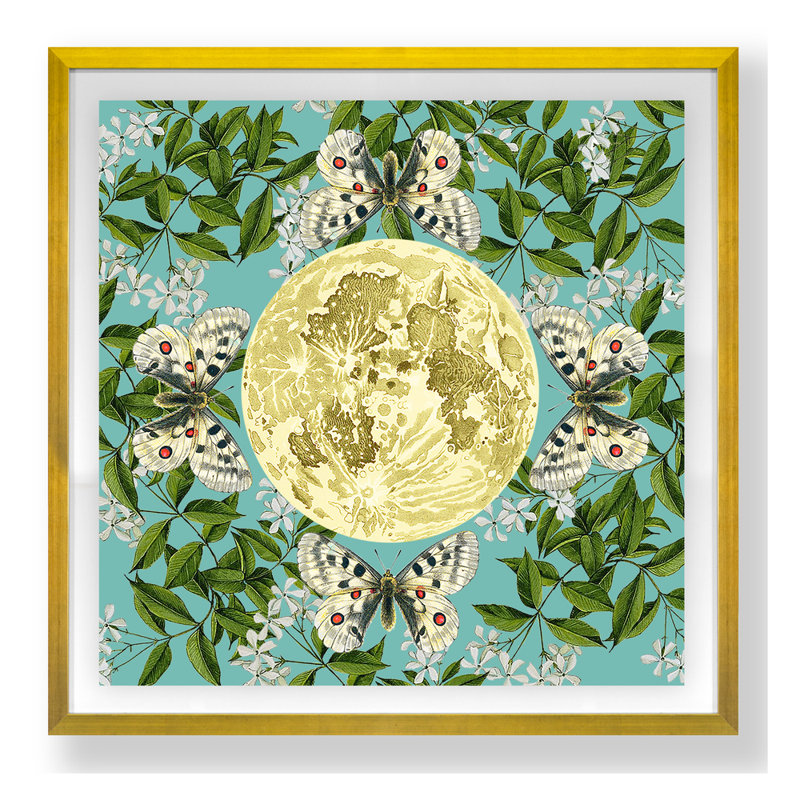 Astrology & Stars Print by Thicket Design, 24" H x 24" W