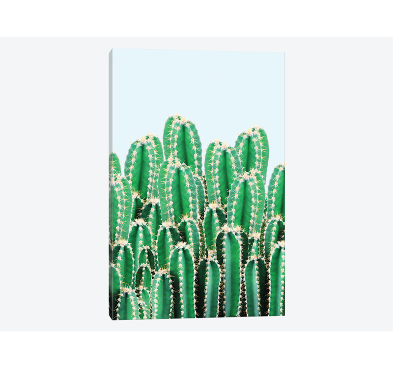 «Kaktos», impression sur toile, H 12 po x l 8 po x P 0,75 po, Toile tendue, Pas de tapis
