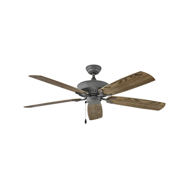 Ventilateur de plafond standard à 5 pales de 60 po avec chaînette Oasis, Graphite