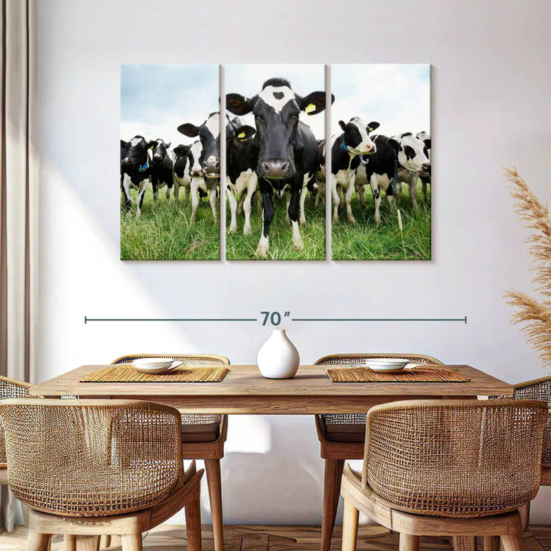 Brampt Holstein, H 36 po x l 57 po