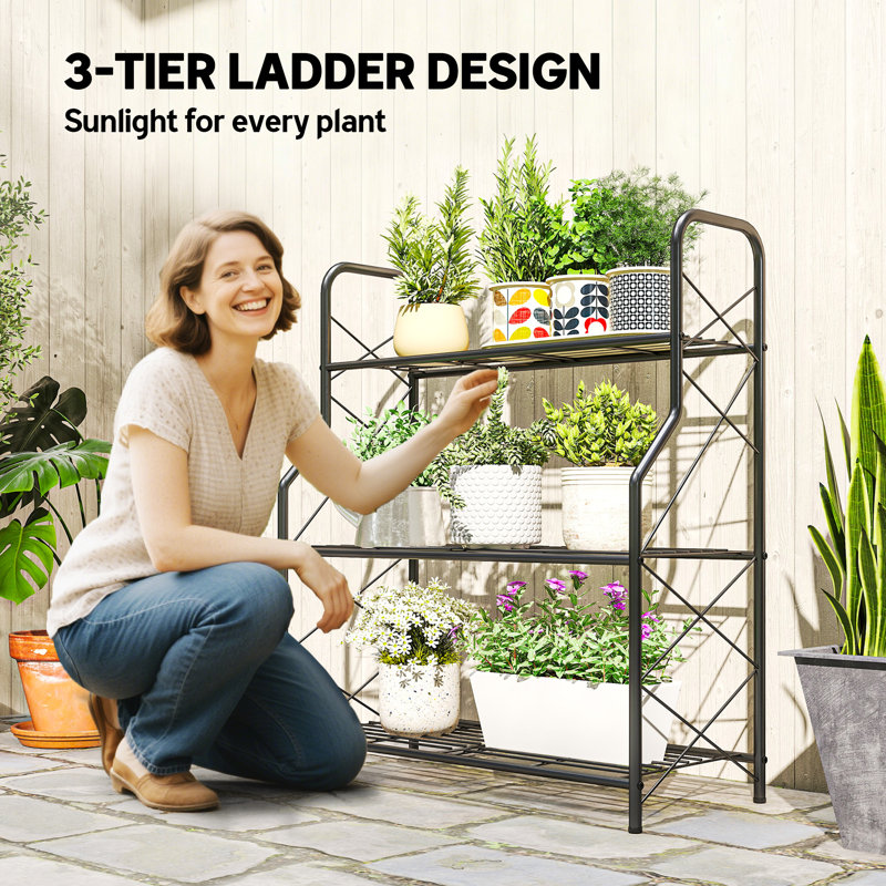78cm H x 69cm W Plant Stand