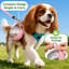 Bouteille d'eau portable pour chien, 300 ml avec bol pliable en silicone