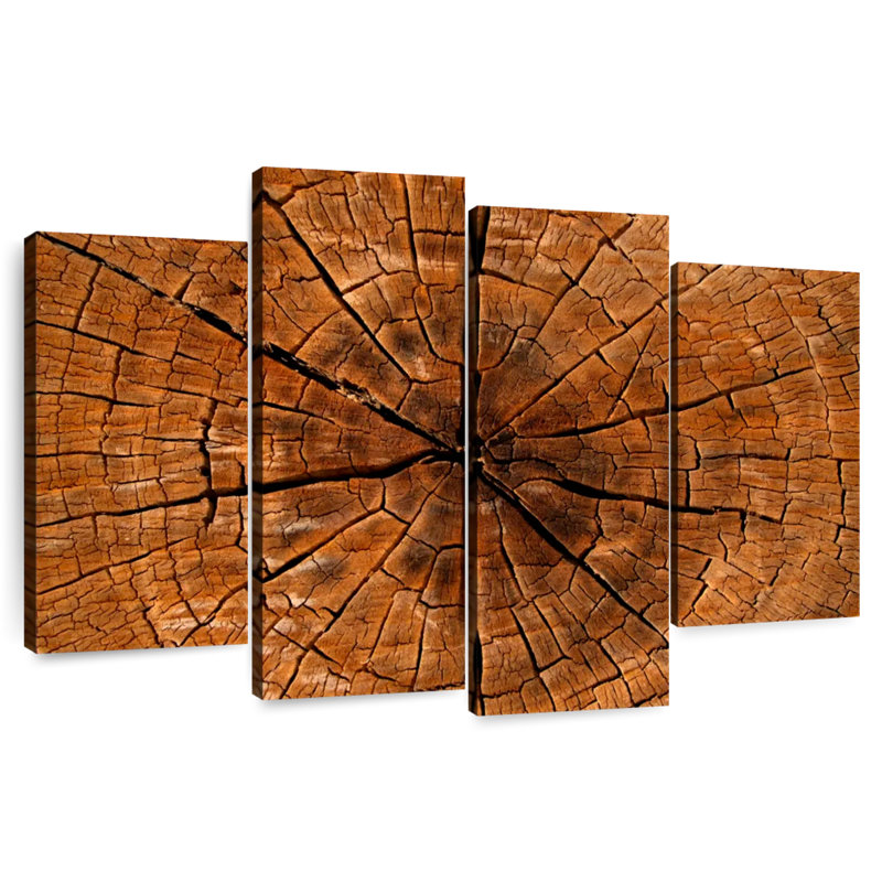 Harnek Magnified Tree Stump, 48'' H x 75'' W