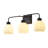 3-Lamp Black White Adjustable Glass Vanity Light