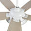 Ventilateur de plafond standard à 52 pales 52 po DEL avec télécommande et ensemble d'éclairage-1509088463