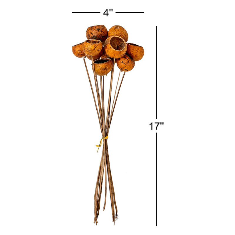 18" Mini Natural Botanical Solit Bel Cup On Stem in Rustic Gold, 10 pcs Per Bunch, Rustic Gold