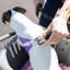 Pet Carrier