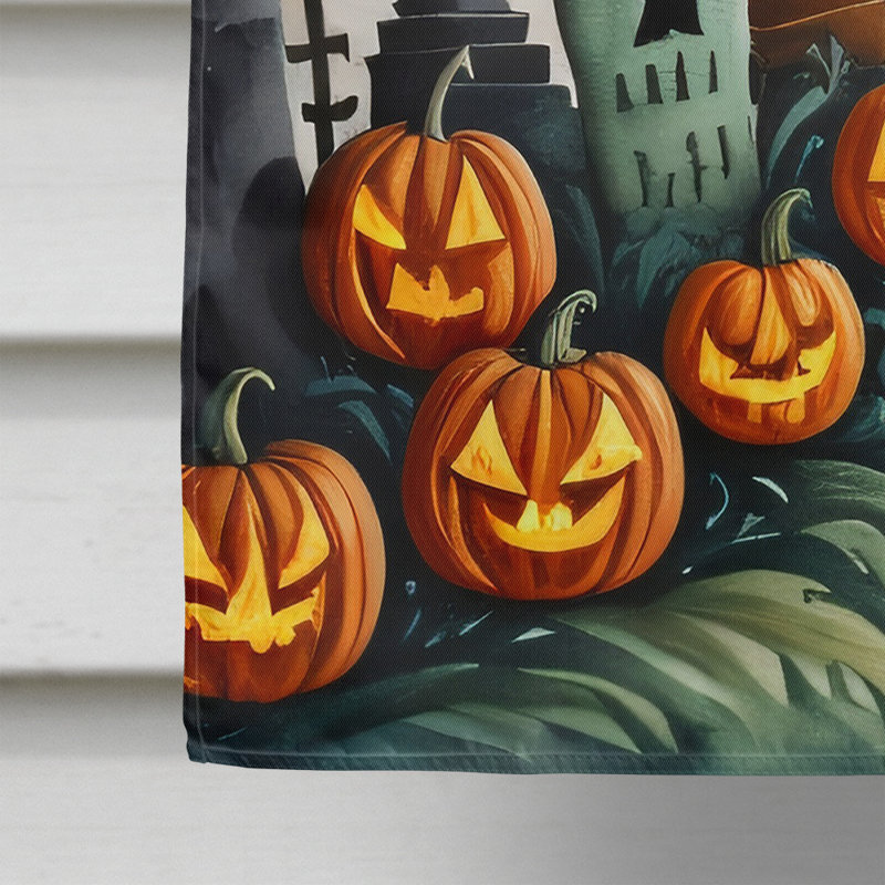 Double Sided 40'' H x 28'' W Polyester Halloween House Flag