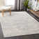 Karekin Oriental Indoor Rug