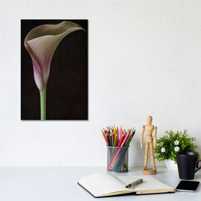 Calla Lily II by Alyson Fennell - Wrapped Canvas Print