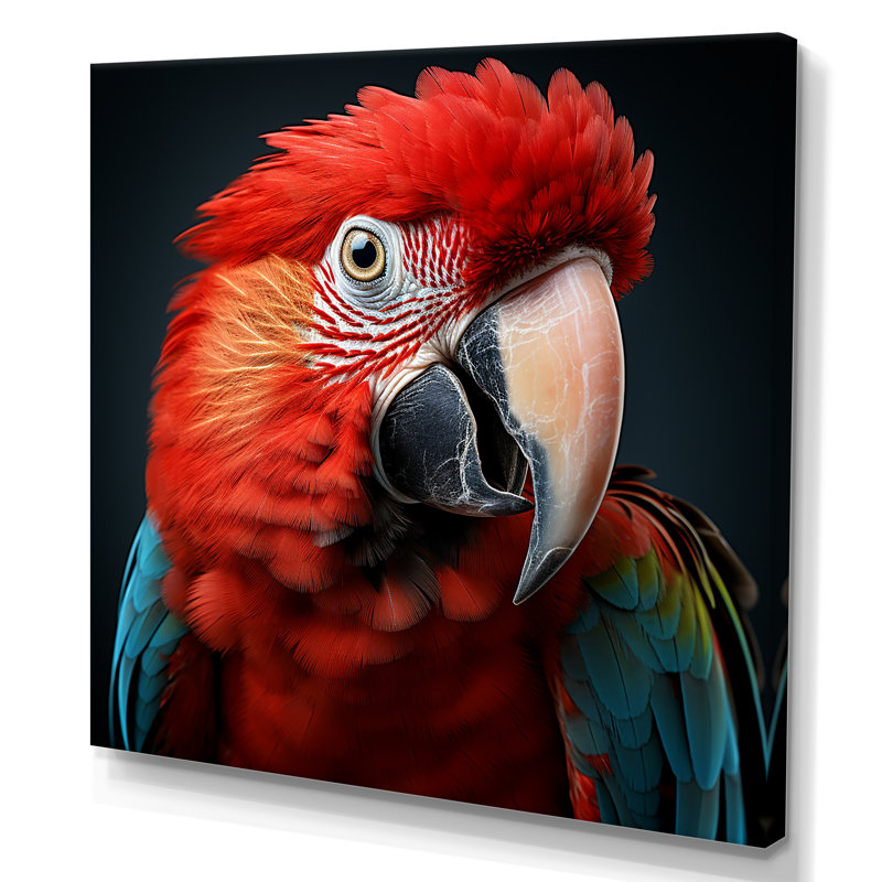 Portrait de perroquet rouge - art mural perroquet, Toile tendue, H 16 po x l 16 po x P 1 po