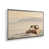 Polished Chrome Floater Frame selected