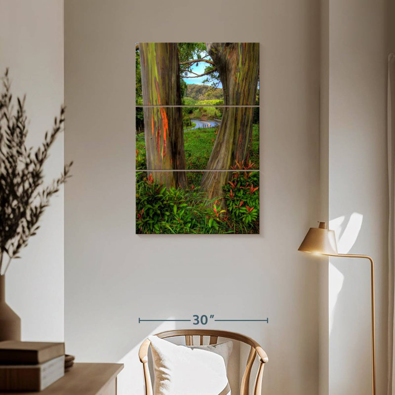 Harnek Roadside Rainbow Eucalyptus, 57" H x 36" W