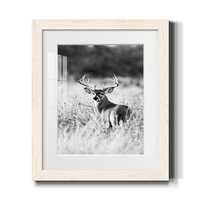 " Grasslands ", White Framed Paper, 37.5" H x 27.5" W x 1.5" D, White