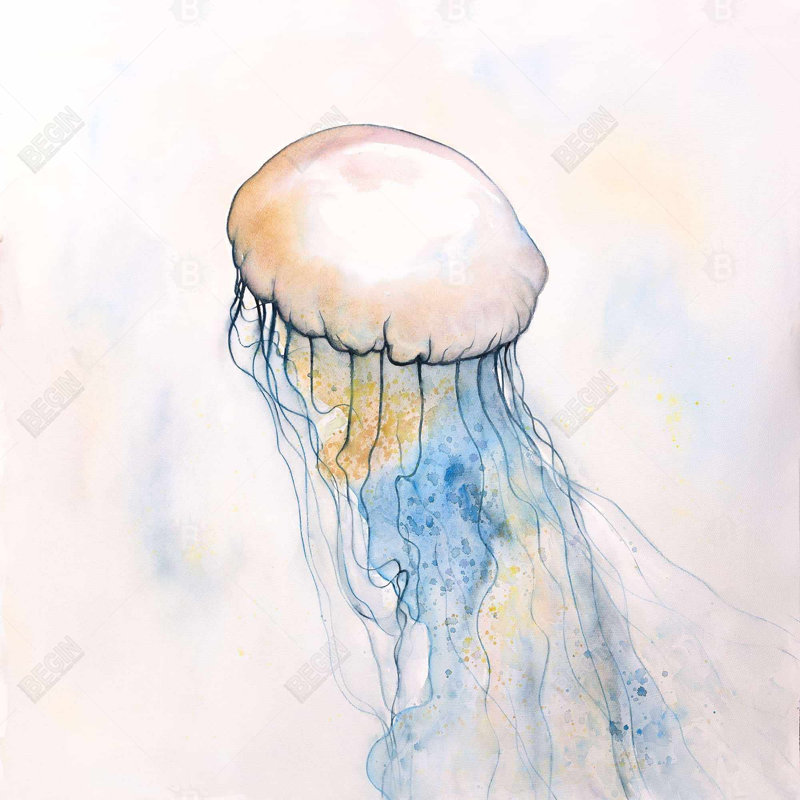 Aquarelle, méduse sur toile bleue, décor aquatique encadré