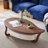 Petal modern and simple coffee table