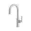 Authentica Pull-Down Kitchen Faucet With C-Spout-734533398