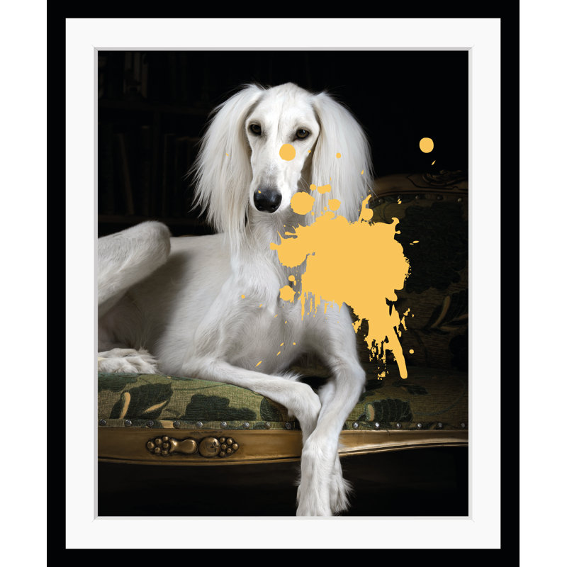Dog - Single Picture Frame Print
