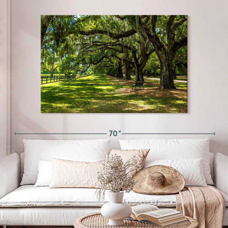 Paysage Harnek Boone Hall, H 34 po x l 51 po