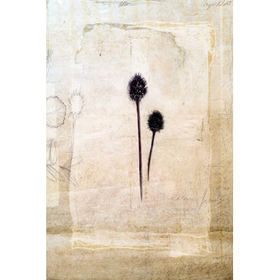 Herbarium IV by June Erica Vess - Wrapped Canvas Print