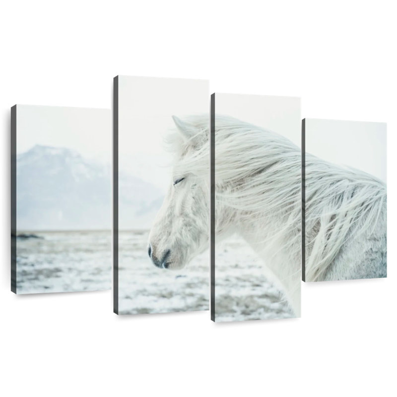 Cheval Islandais Brampt