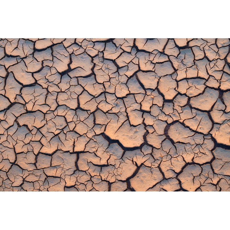 Arid And Dry Cracked Land by Mimadeo - Wrapped Canvas Print, 61cm H x 91cm W x 3.8cm D