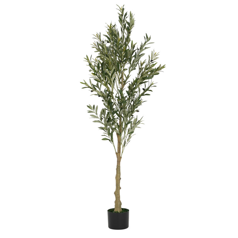 Olivier artificiel 71 po avec pot et branches réglables Ricky
