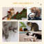 Cat Scratcher Lounger Cardboard White Kraft 60x29x26.5cm